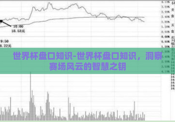 世界杯盘口知识-世界杯盘口知识，洞察赛场风云的智慧之钥