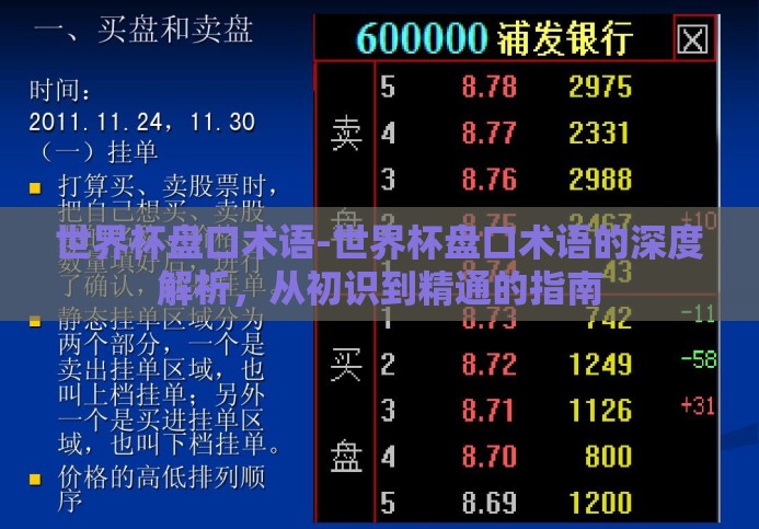 世界杯盘口术语-世界杯盘口术语的深度解析，从初识到精通的指南