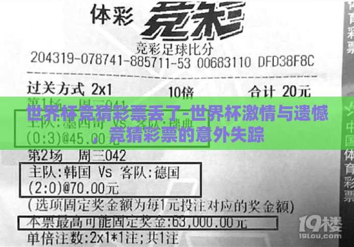 世界杯竞猜彩票丢了-世界杯激情与遗憾，竞猜彩票的意外失踪
