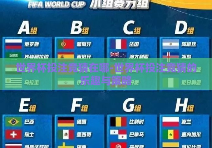 世界杯投注竞猜在哪-世界杯投注竞猜的乐趣与策略