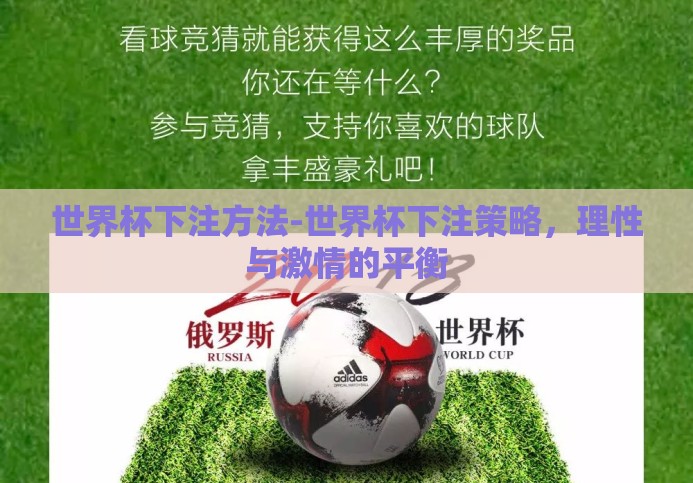 世界杯下注方法-世界杯下注策略，理性与激情的平衡