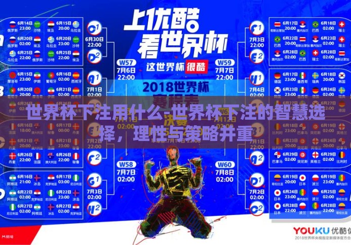 世界杯下注用什么-世界杯下注的智慧选择,理性与策略并重 世界杯下注用什么-世界杯下注的智慧选择,理性与策略并重