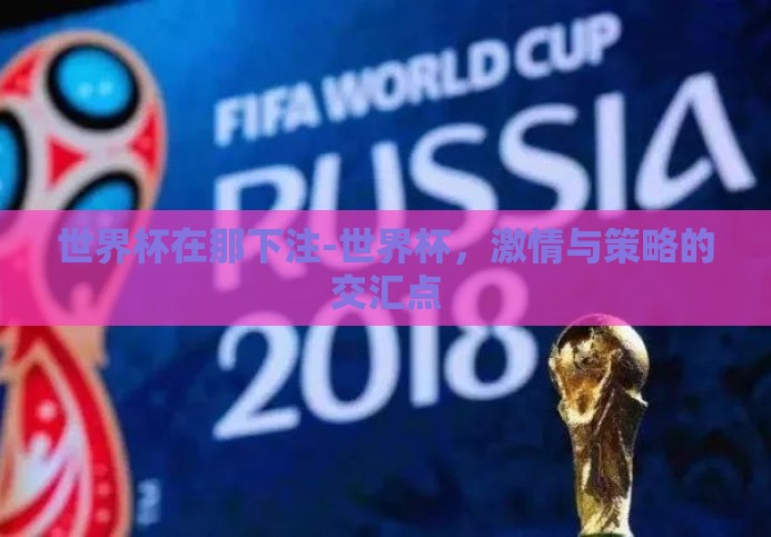 世界杯在那下注-世界杯，激情与策略的交汇点