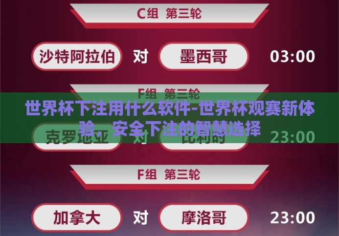 世界杯下注用什么软件-世界杯观赛新体验,安全下注的智慧选择 世界杯下注用什么软件-世界杯观赛新体验,安全下注的智慧选择