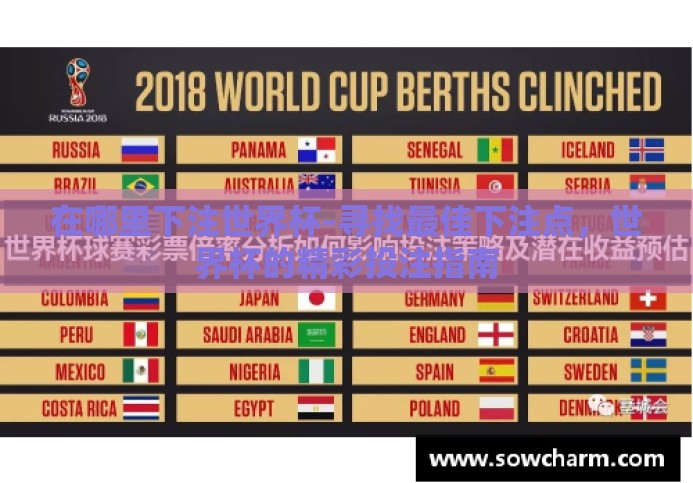在哪里下注世界杯-寻找最佳下注点，世界杯的精彩投注指南