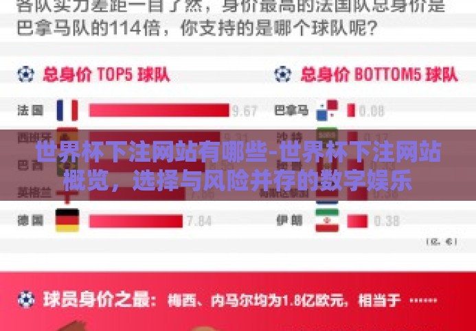 世界杯下注网站有哪些-世界杯下注网站概览，选择与风险并存的数字娱乐