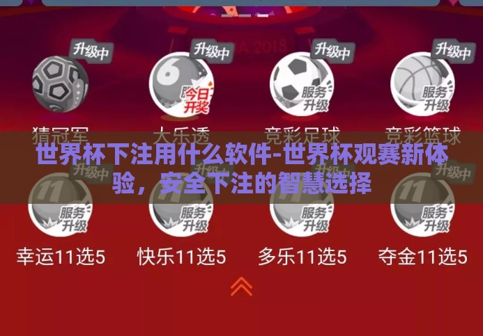 世界杯下注用什么软件-世界杯观赛新体验,安全下注的智慧选择 世界杯下注用什么软件-世界杯观赛新体验,安全下注的智慧选择
