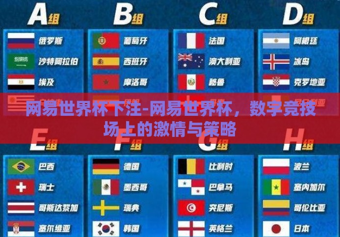 网易世界杯下注-网易世界杯,数字竞技场上的激情与策略 网易世界杯下注-网易世界杯,数字竞技场上的激情与策略