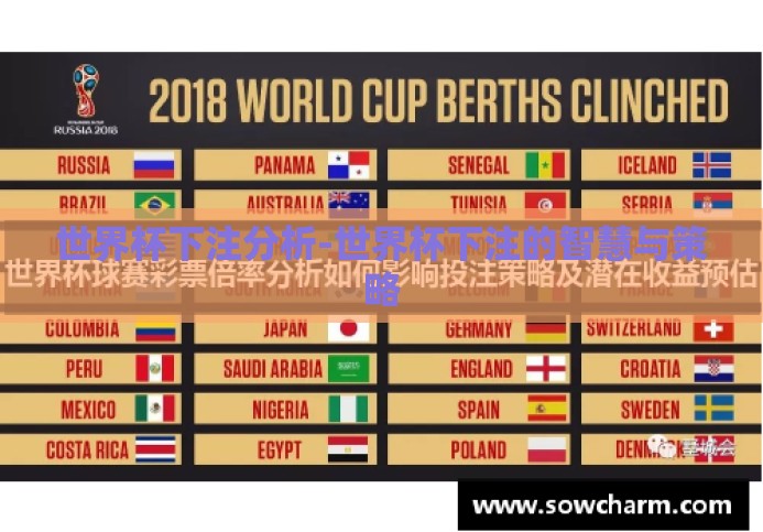 世界杯下注分析-世界杯下注的智慧与策略