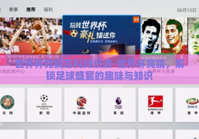 世界杯竞猜百科知识点-世界杯竞猜，解锁足球盛宴的趣味与知识