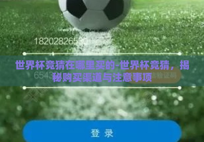 世界杯竞猜在哪里买的-世界杯竞猜,揭秘购买渠道与注意事项 世界杯竞猜在哪里买的-世界杯竞猜,揭秘购买渠道与注意事项