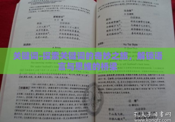 关键词-探索关键词的奇妙之旅,解锁语言与思维的桥梁 关键词-探索关键词的奇妙之旅,解锁语言与思维的桥梁