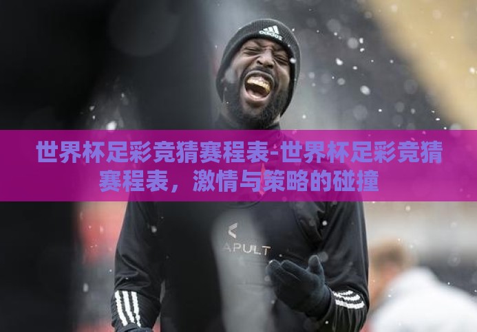 世界杯足彩竞猜赛程表-世界杯足彩竞猜赛程表，激情与策略的碰撞