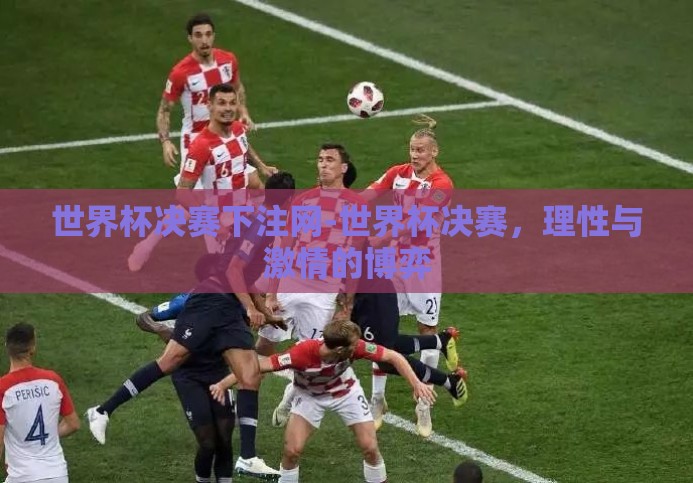 世界杯决赛下注网-世界杯决赛，理性与激情的博弈