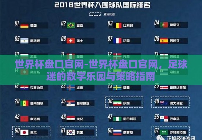 世界杯盘口官网-世界杯盘口官网，足球迷的数字乐园与策略指南