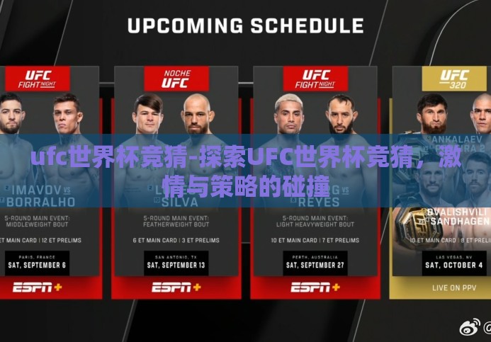 ufc世界杯竞猜-探索UFC世界杯竞猜，激情与策略的碰撞
