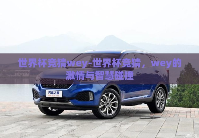 世界杯竞猜wey-世界杯竞猜，wey的激情与智慧碰撞