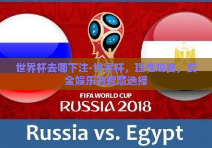 世界杯去哪下注-世界杯，理性观赛，安全娱乐的智慧选择