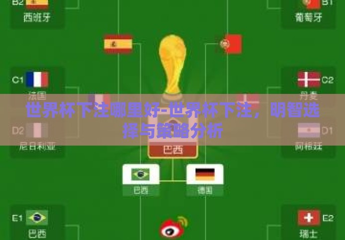 世界杯下注哪里好-世界杯下注，明智选择与策略分析