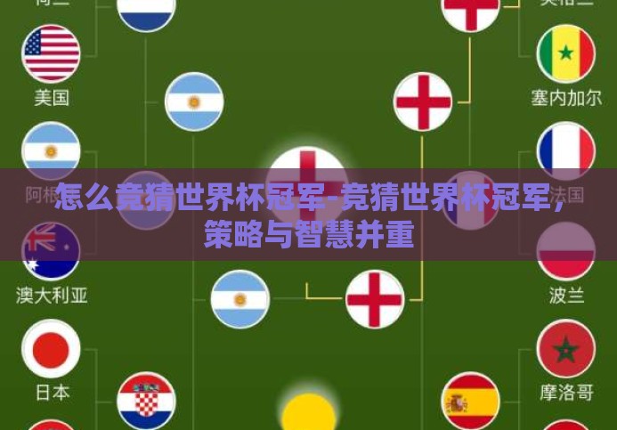 怎么竞猜世界杯冠军-竞猜世界杯冠军，策略与智慧并重