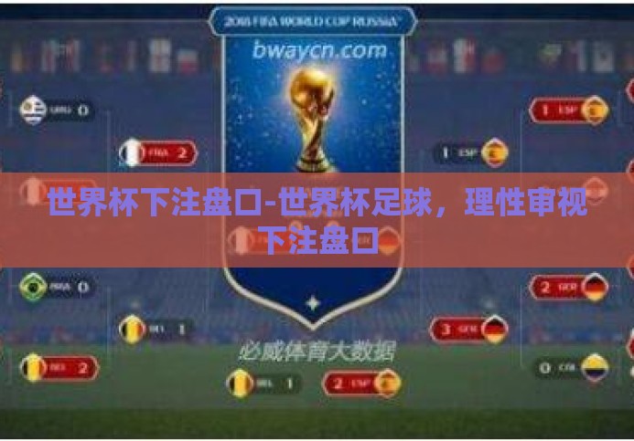 世界杯下注盘口-世界杯足球，理性审视下注盘口
