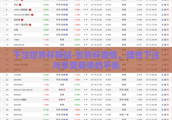 下注世界杯网站-世界杯激情，理性下注与享受赛事的平衡
