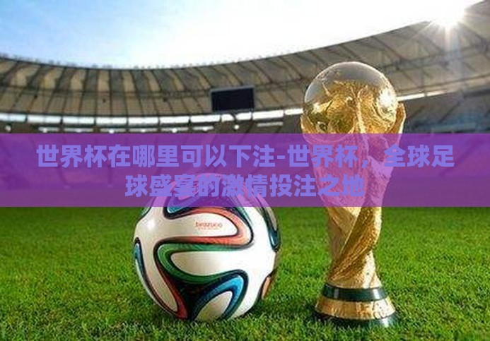 世界杯在哪里可以下注-世界杯，全球足球盛宴的激情投注之地