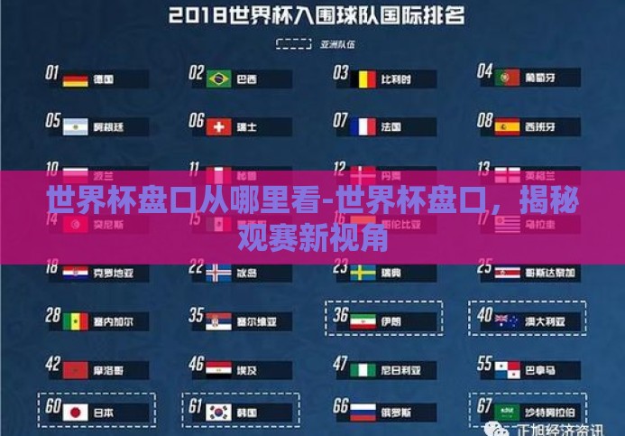 世界杯盘口从哪里看-世界杯盘口，揭秘观赛新视角