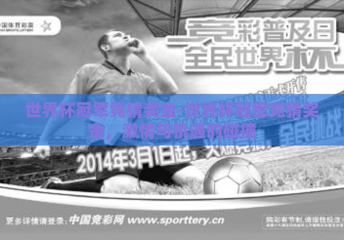 世界杯冠军竞猜奖金-世界杯冠军竞猜奖金，激情与机遇的碰撞