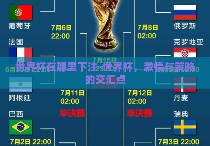 世界杯在那里下注-世界杯，激情与策略的交汇点