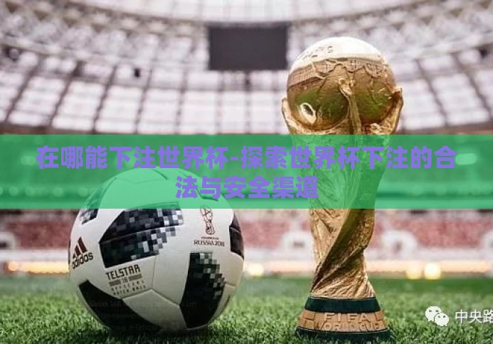 在哪能下注世界杯-探索世界杯下注的合法与安全渠道