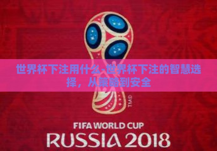 世界杯下注用什么-世界杯下注的智慧选择，从策略到安全