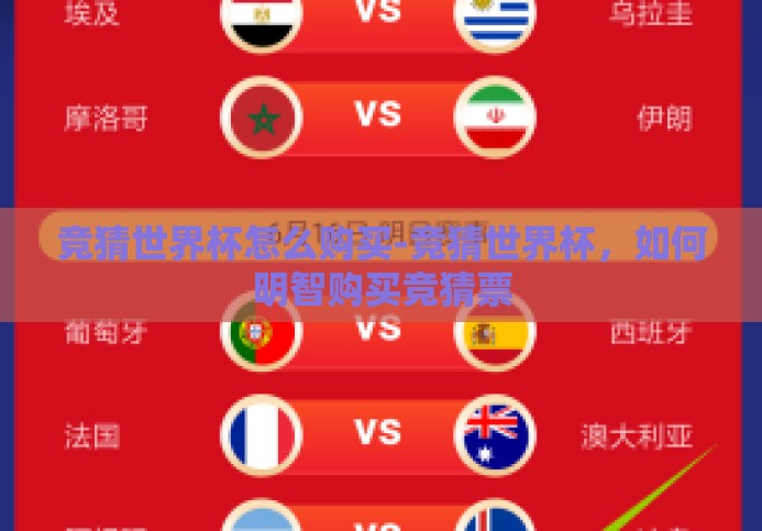 竞猜世界杯怎么购买-竞猜世界杯，如何明智购买竞猜票