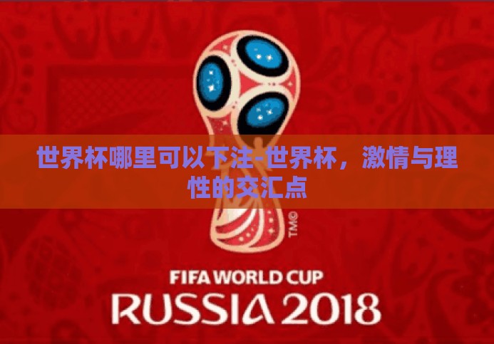 世界杯哪里可以下注-世界杯,激情与理性的交汇点 世界杯哪里可以下注-世界杯,激情与理性的交汇点