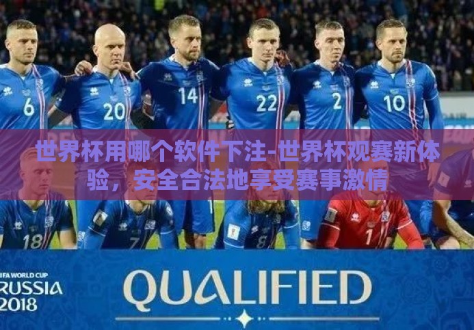 世界杯用哪个软件下注-世界杯观赛新体验，安全合法地享受赛事激情